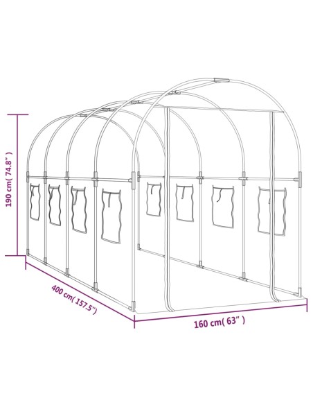 Serre Transparent PVC - 160x400x190cm