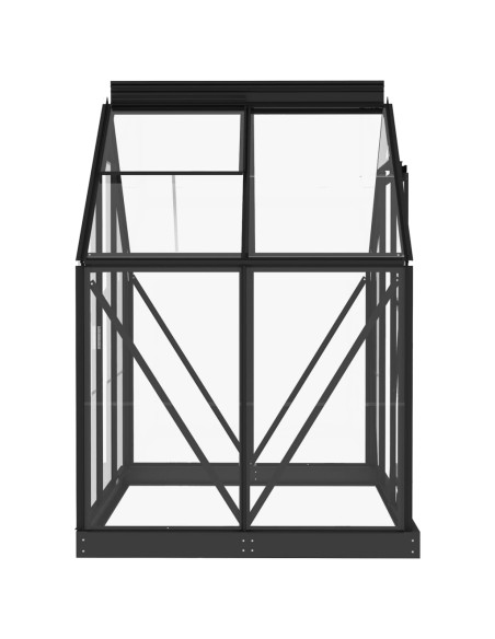 Serre en verre Anthracite - 155x103x191cm