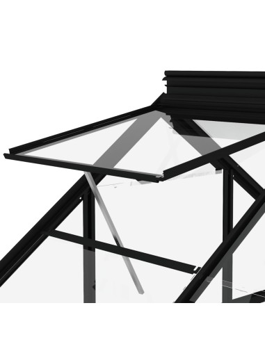 Serre en verre Anthracite - 155x103x191cm