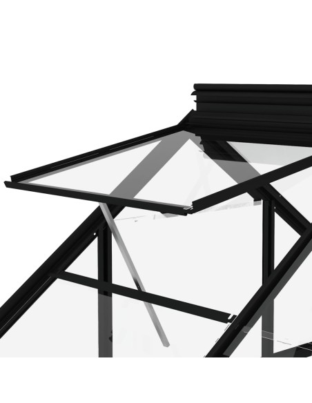 Serre en verre Anthracite - 155x103x191cm