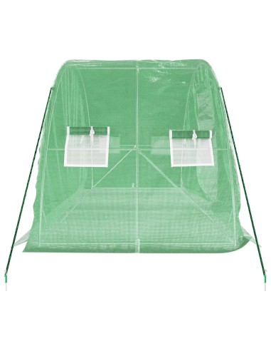 Serre avec cadre en acier vert 5x2x2,3m