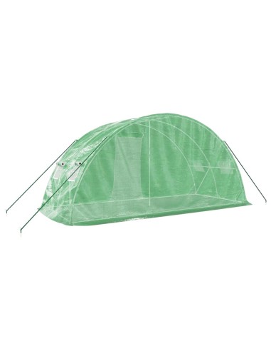Serre avec cadre en acier vert 5x2x2,3m