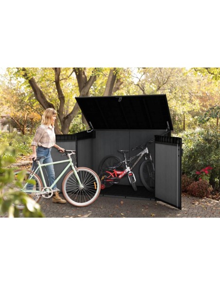 Abri de jardin 2020 L