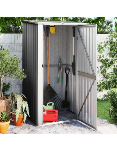 Abri de jardin - 118,5x97x209,5 cm