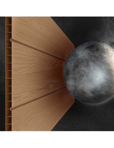 Abri de jardin Newton 757 Marron