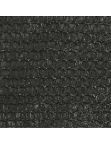 Voile d'ombrage 160 g/m² Anthracite 3x4x2 m PEHD