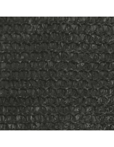 Voile d'ombrage 160 g/m² Anthracite 3x4x2 m PEHD